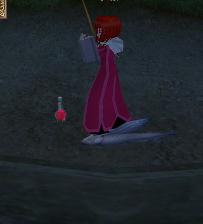 mabinogi_2008_12_22_002.jpg