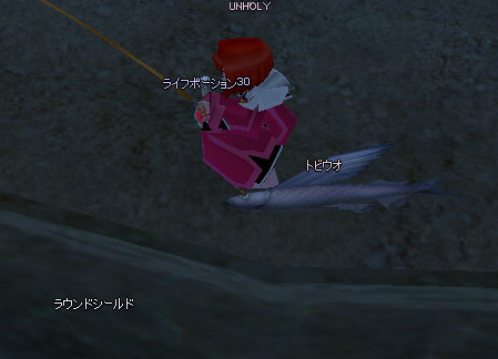 mabinogi_2008_12_22_003.jpg
