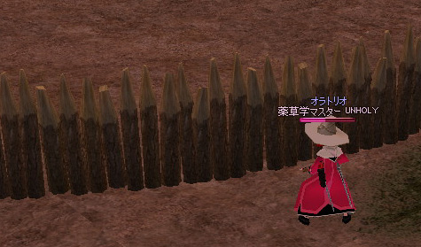 mabinogi_2008_12_30_006.jpg