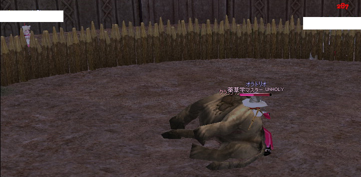 mabinogi_2008_12_30_008.jpg