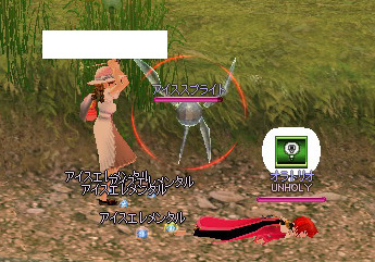 mabinogi_2008_12_31_010.jpg