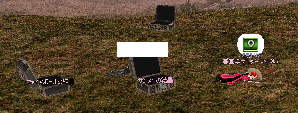 mabinogi_2008_12_31_012.jpg