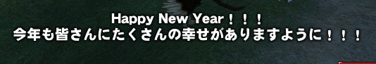 mabinogi_2008_12_31_018.jpg