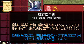 mabinogi_2009_01_07_012.jpg
