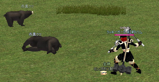 mabinogi_2009_01_11_002.jpg