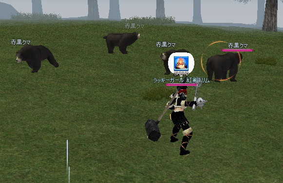 mabinogi_2009_01_11_003.jpg