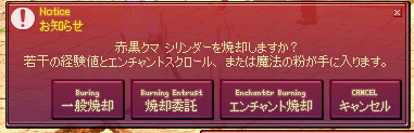 mabinogi_2009_01_11_005.jpg