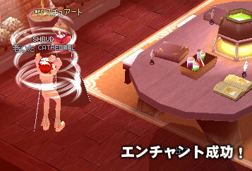 mabinogi_2009_01_15_010.jpg